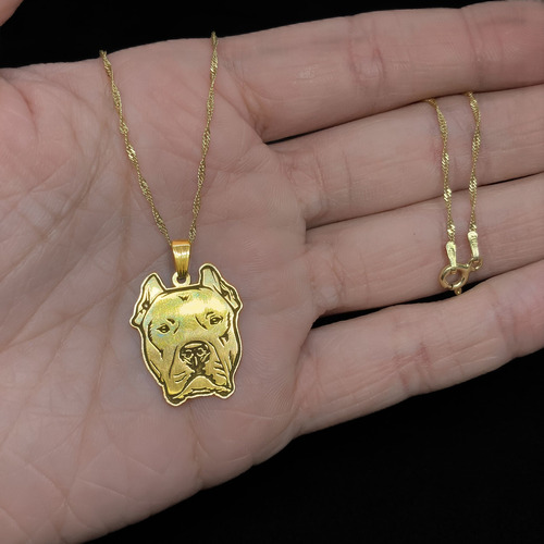 Cadena Y Dije Perro Dogo Argentino Mascota Oro 18k Amarillo 45 Cm