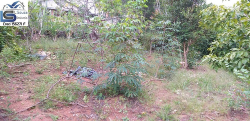Imagem 12 de 17 de Lindíssima Chácara Localizada Em Um Dos Melhores Bairros De Pinhalzinho, Interior De São Paulo; - 1032 - 34886232