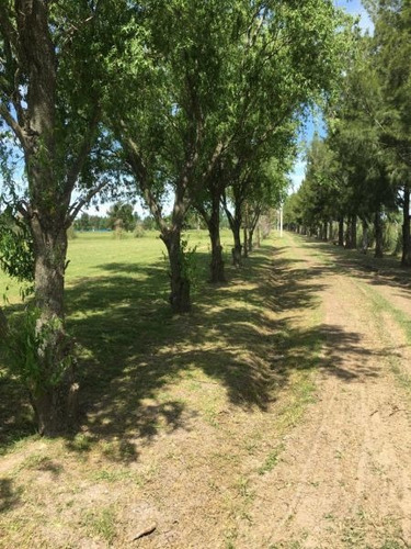 Imagen 7 de 14 de Terreno En Venta En Posadas De Los Lagos
