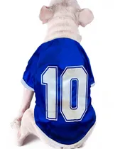 Comprar Remeras Camisetas Ropa Para Perros  Alternativa  Argentina!!