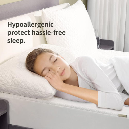 Protector De Almohada Impermeable Con Cremallera (paquete De