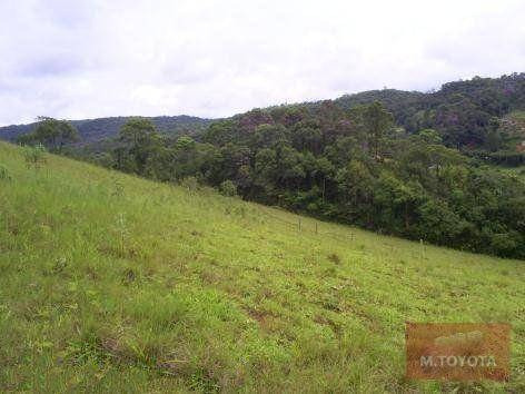 Imagem 20 de 20 de Sítio À Venda, 163000 M² Por R$ 650.000,00 - Vargem Do Salto - Ibiúna/sp - Si0001