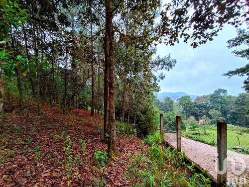 Venta Terreno 0 Ambiente Huitepec Ocotal Sección Ii