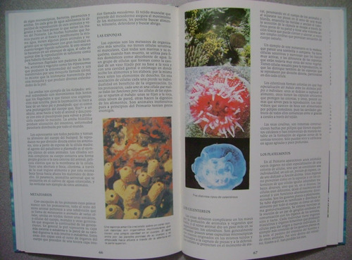 Enciclopedia Ciencias Naturales / Ecología Y Medio. Amb. 3t