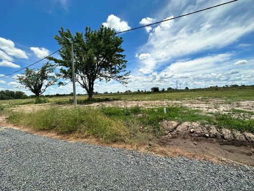 Terreno En Ventalos Pinos Exaltación De La Cruz