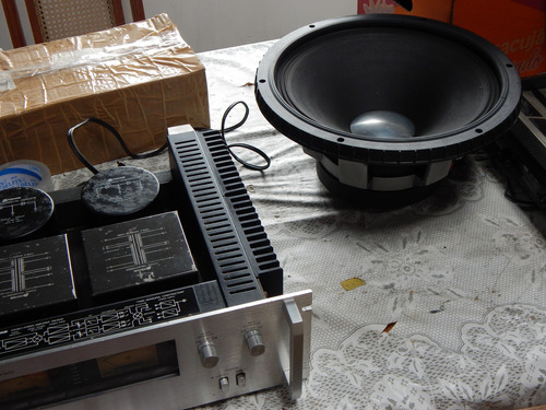 Selenium Wpu 1502 Woofer 15 Raridade Original Anos 90 Só 1 Prata (Usado)