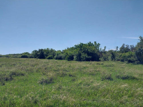 Excelente Estancia Ganadera 2881 Hectareas
