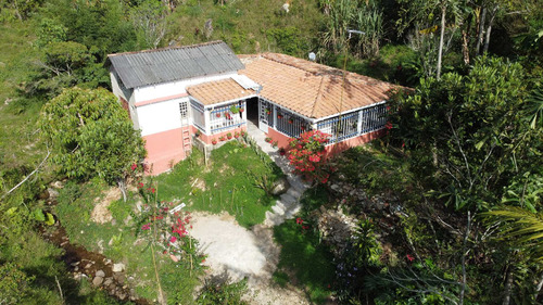 Finca En Venta En San Roque, Antioquia 