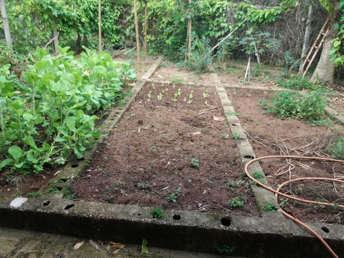 Imagem 6 de 14 de Belíssima Chácara Em Condomínio 5.000 M2