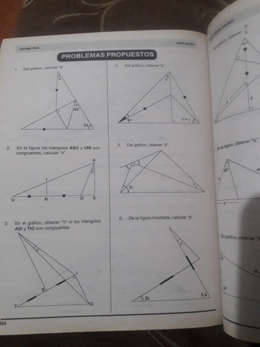 Libro Geometría Congruencia De Triángulos Didy Ricra Osorio (Usado)