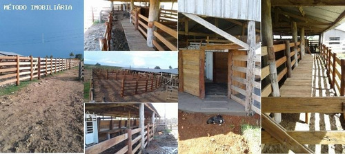 Imagem 8 de 9 de Fazenda Para Venda Em Porto Murtinho, Rural - 12463_1-1196538