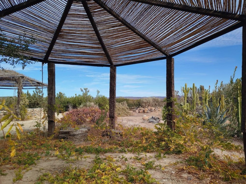 Terreno En Venta En Tongoy