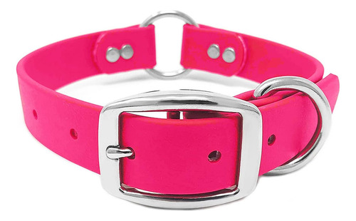 Regal Dog Products Collar Para Perro Grande Rosa Con Doble H