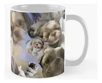 Comprar Taza X4 Siumai El Shih Tzu Collage Calidad Premium