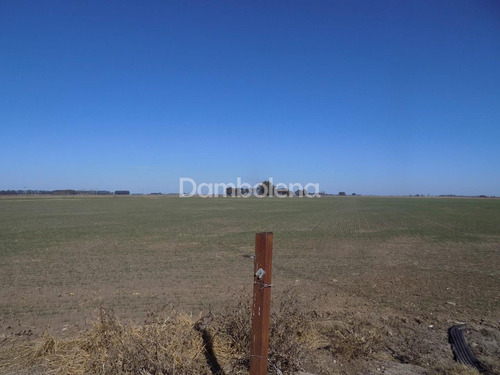 Imagen 7 de 27 de Terreno Campo En Venta En Carmen De Areco, Resto De La Provincia, Buenos Aires