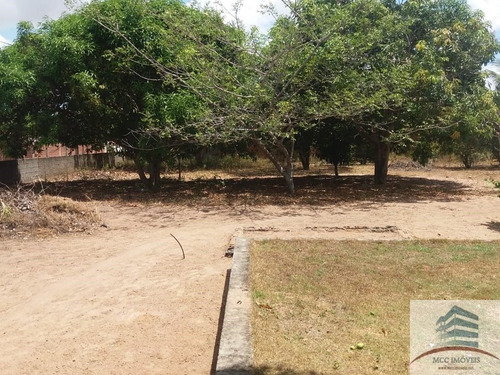Imagem 3 de 28 de Granja A Venda Em Massaranduba, Ceará Mirim
