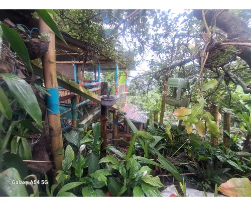 Venta Casa Campestre Salento. Quindío - Colombia Cod: 9054527