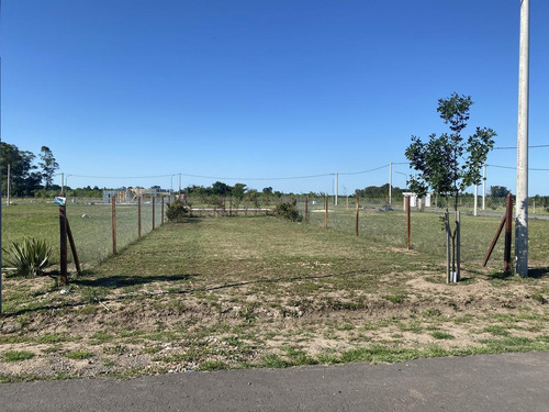 Imagen 8 de 11 de Lotes En Venta Desde 300 M2 Villa Amelia