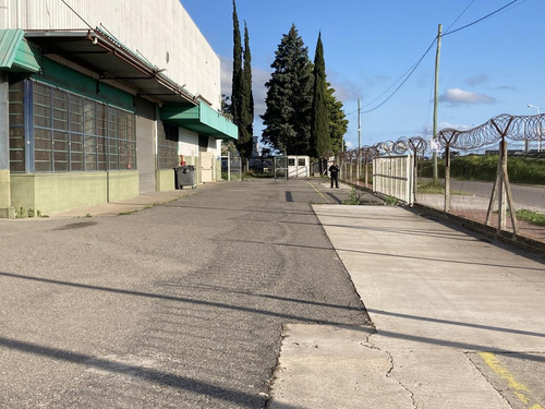 Imagen 21 de 27 de Depósito 6.000m2 - Rosario