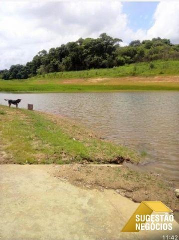 Mansão Exuberante Pé Na Água Represa - 3692