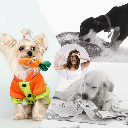 Nocciola Dog Squeaky Toys, Juguetes De Peluche Pequeños P...