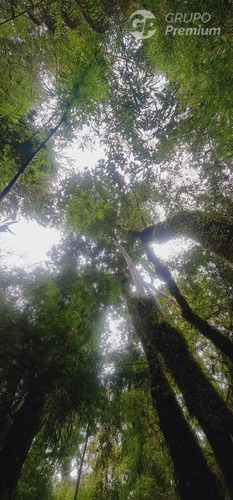 Parcela En Venta En Sector El Palomar , Ancud