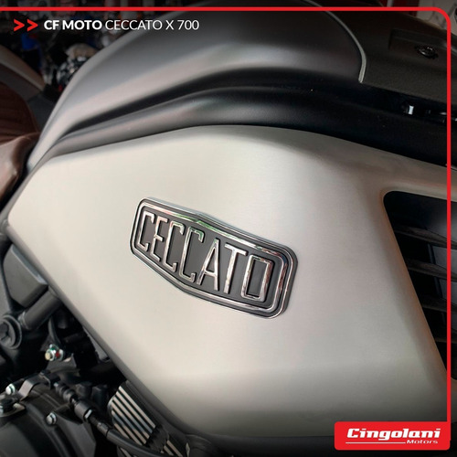 Imagen 2 de 8 de Cf Moto Ceccato 700 X