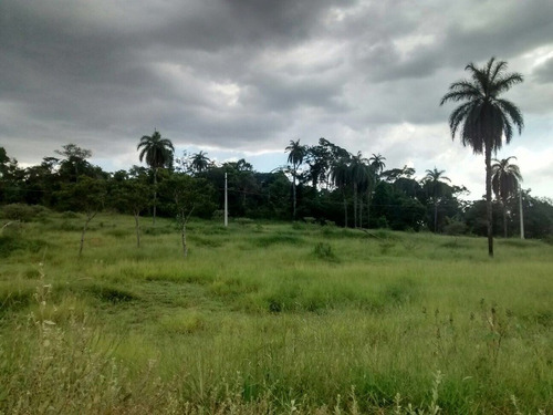 Lote Para Comprar No Vale Das Orquideas Em Contagem/mg - 20560