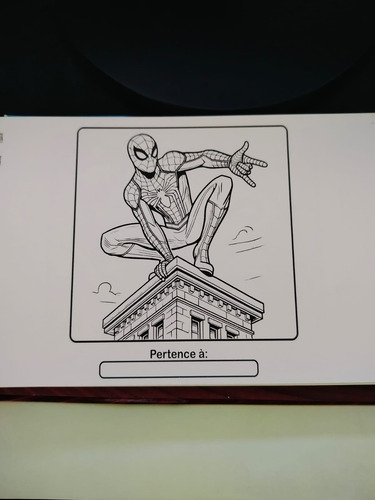 Livro De Colorir Homem-aranha Estilo Bobbie Goods | Capa Dura Holográfica| 50 Ilustrações | A5 | 180g | Com Folha De Acetato