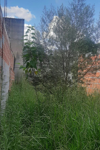 Imagem 5 de 5 de Terreno À Venda Na Rua Ermelino Matarazzo, Jardim Do Vale, Itaquaquecetuba - Sp - Liv-11796
