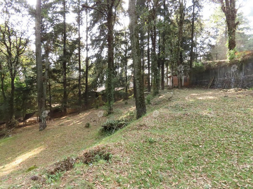 Imagen 14 de 14 de Venta Terreno En Fraccionamiento San José De La Montaña - T41