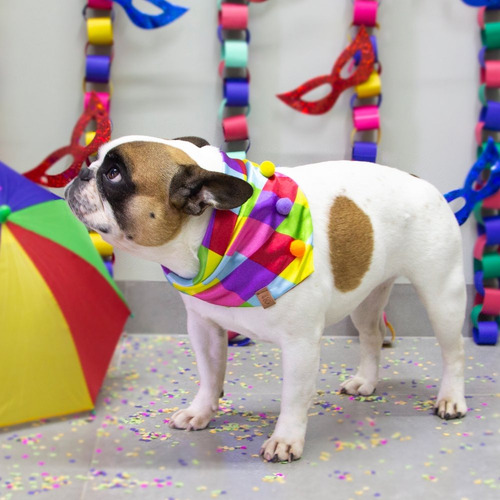 Bandana De Carnaval Pet Jr Para Cachorros E Gatos Colombina Cor Colorido Colombina PP