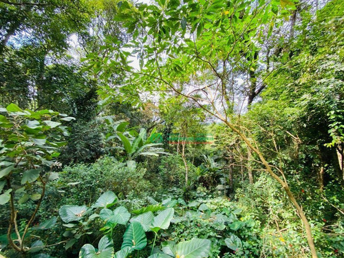 Imagem 20 de 23 de Casa Com 3 Dormitórios À Venda, 280 M² Por R$ 550.000,00 - Jardim Santa Paula - Cotia/sp - Ca5982