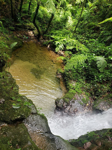 Rancho Entre Nubes Y Montañas En Cuetzalan Puebla