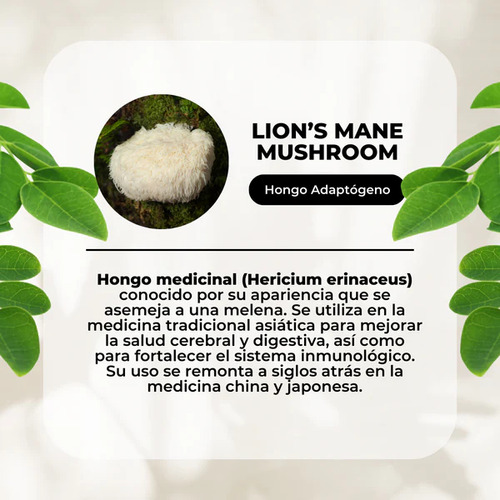 Pack Melena De Leon + Reishi - 120 Capsulas - Karun Life