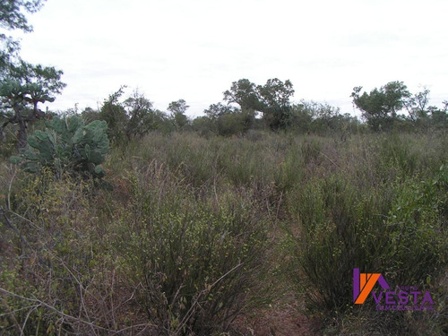 Imagen 9 de 10 de Venta Campo Pluma De Pato 700ha Salta-