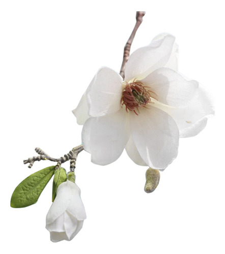 I Flores Artificiales Artificiales, Hoja, Magnolia, Floral, Color A