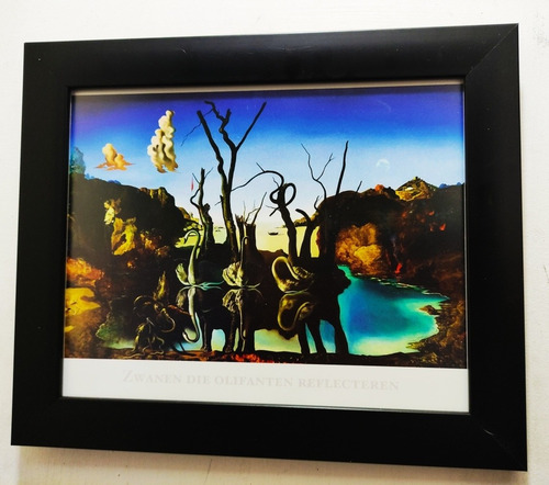 Dalí / Cisnes Que Se Reflejan Como Elefantes / 30 X 25 Cms