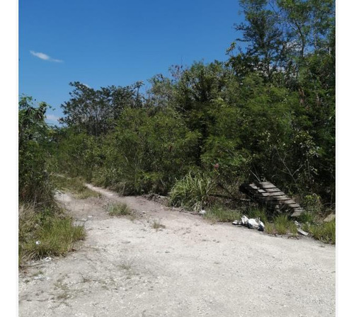 Terreno En Venta En Zona Libre Belice