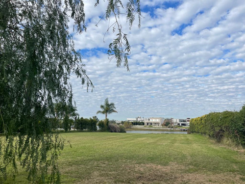 Imagen 12 de 26 de Lote En Venta San Matias Laguna Excelente Orientación