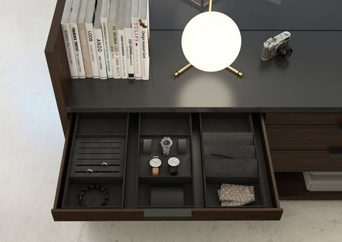 Sistema De Organización De Closet Con Porta Lentes Millenial