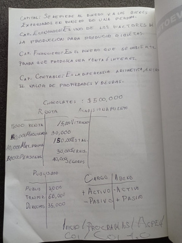 Sistemas Computacionales En Los Negocios Mc Graw Hill (Usado)