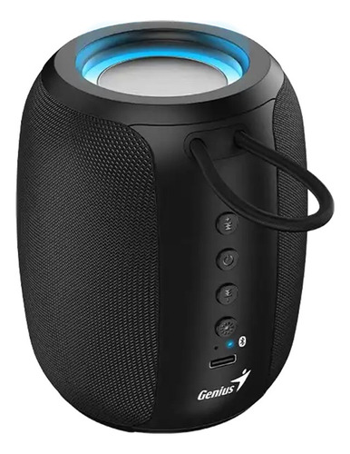 Parlante Portatil Genius Sp-915bt Bluetooth Gris
