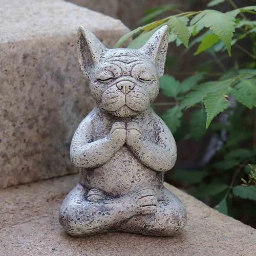 Estatua De Un Perro Meditando, Buda, Estadística De Meditaci