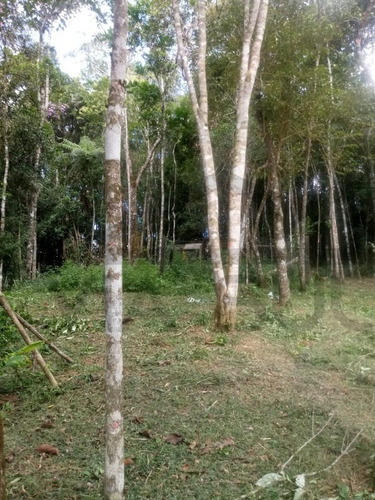 Imagem 20 de 23 de Chácara À Venda Em Juquitiba - 443 - 34887456