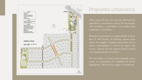 Imagen 19 de 20 de Terreno En Carmelo - Uruguay