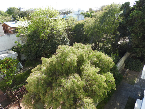 Venta Casa Padrón Único Bello Y Reborati Con Importante Fondo Verde