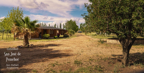 Imagen 7 de 16 de Cabañas En San Rafael Con Pileta, Quincho, Amplio Parque.