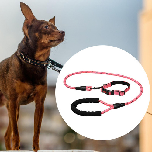 Cuerda De Tracción Para Perros Correa Para Mascotas