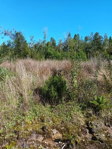 Campo De 16 Hectáreas En Chiloé